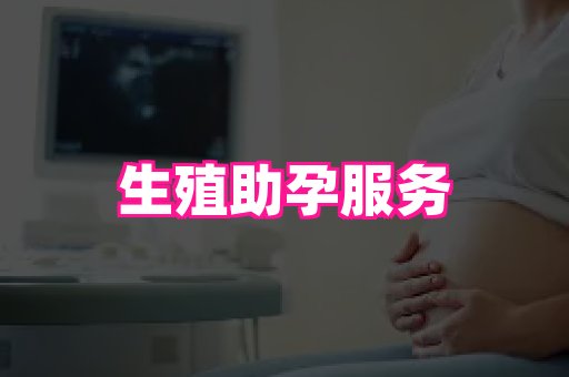 生殖助孕网站 2